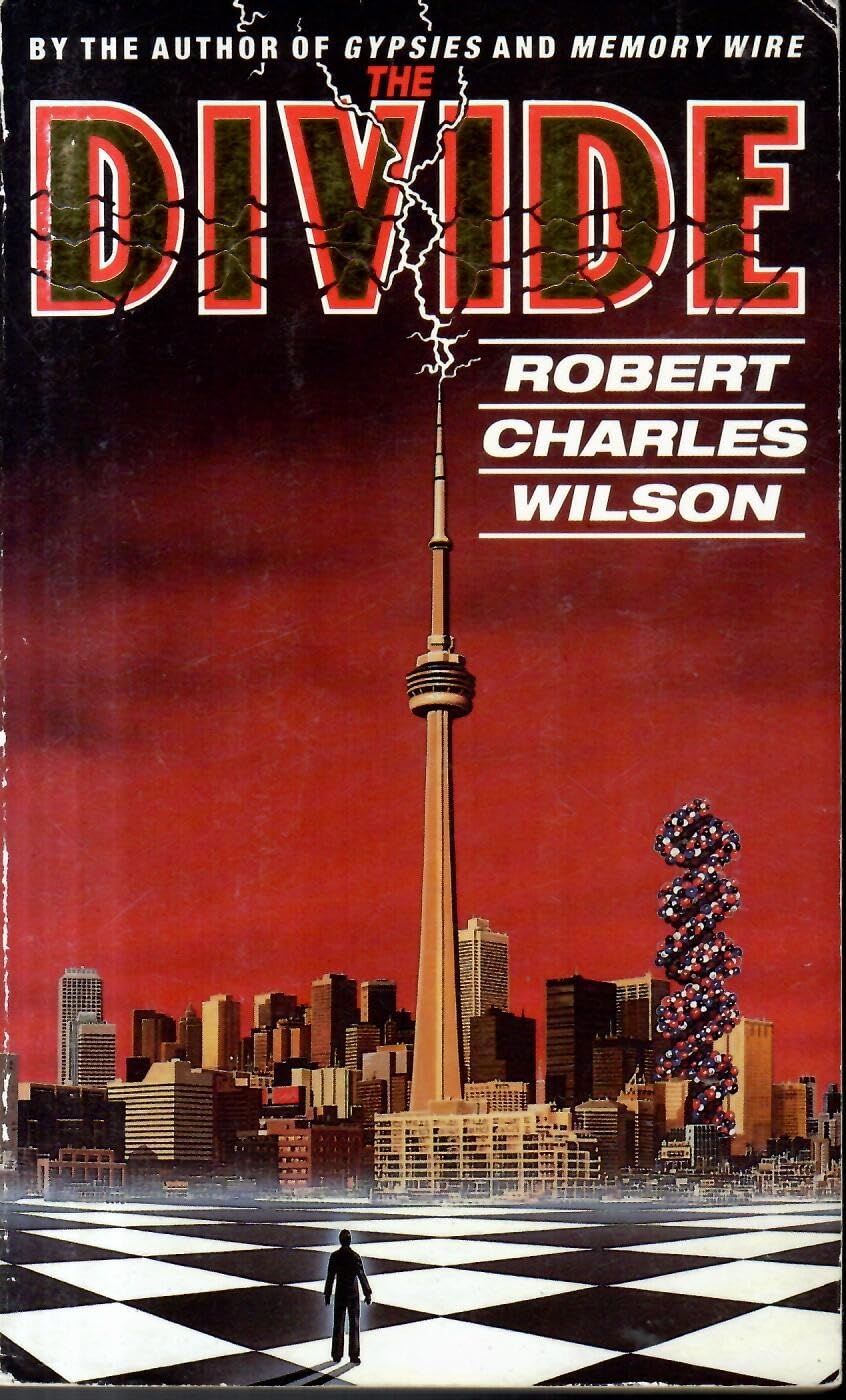 Buy The Divide — BookShops.in