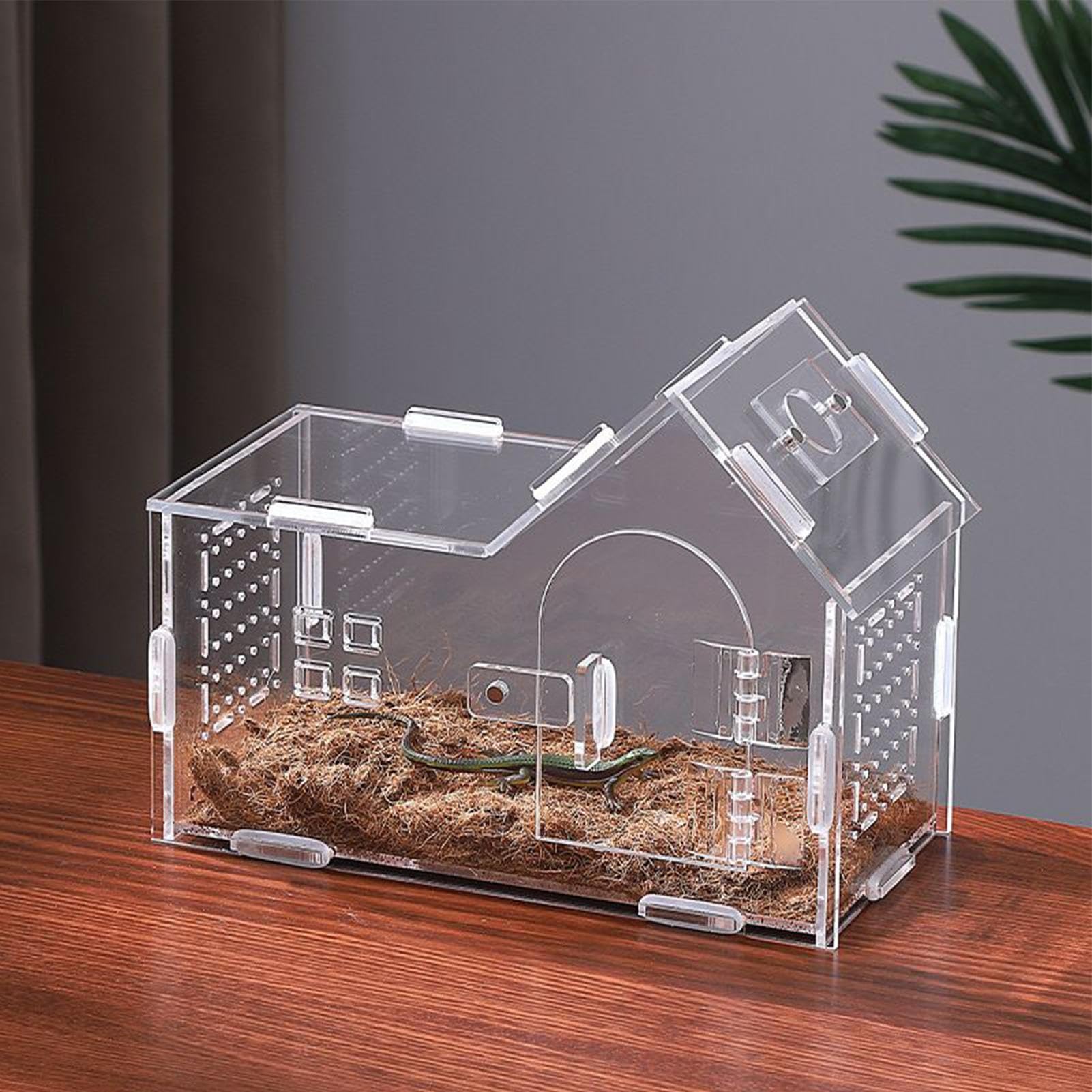 Recinto Spider - Terrario Acrílico con Puerta Magnética Y Ventilación | Casa de araña saltarina para Geckos, Ranas, lagartos, tarántulas y Mascotas arbóreas