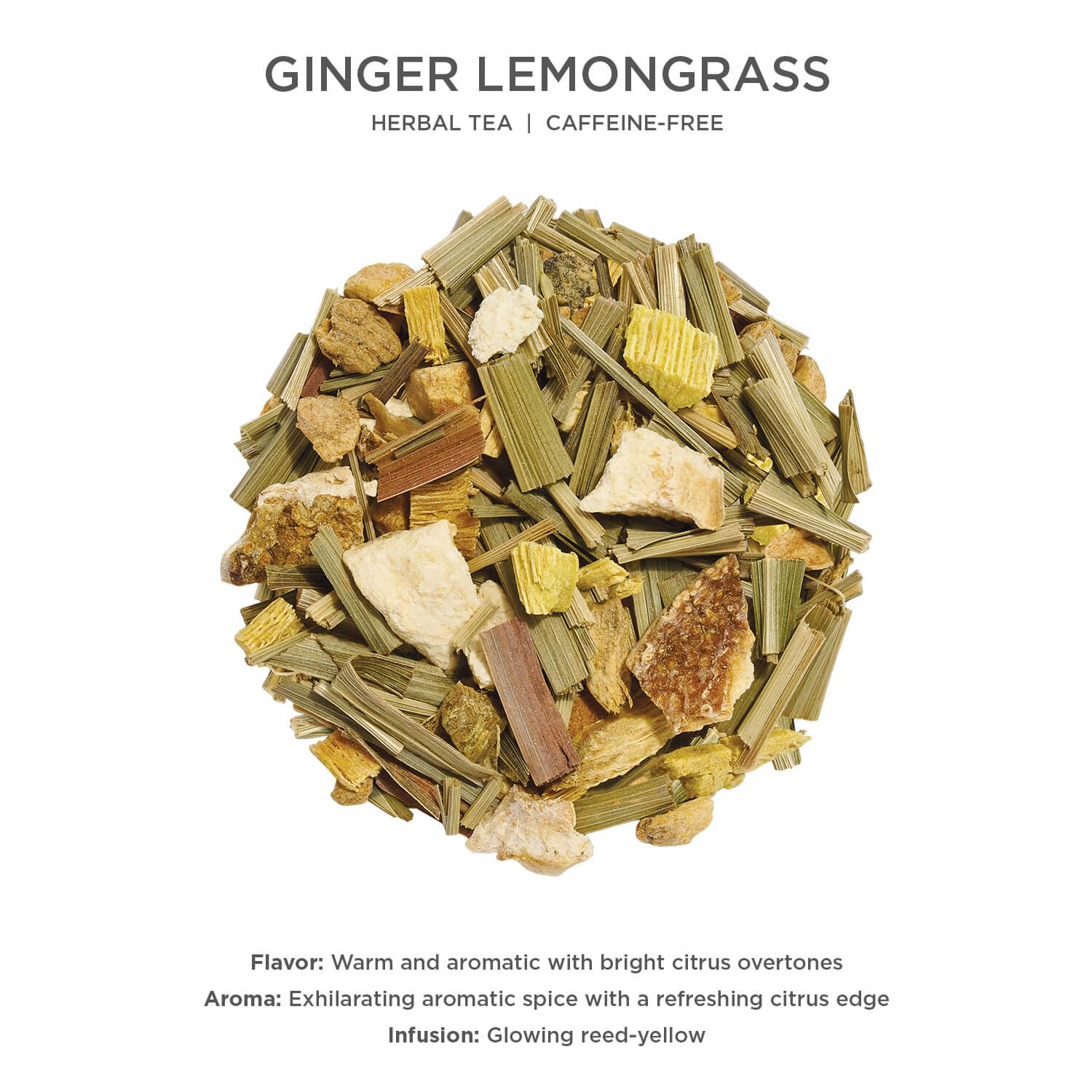 Tea Forte Ginger Lemongrass Premium Loose Leaf Caffeine-Free Herbal Tea Blend Canister, Makes 35-50 Cups