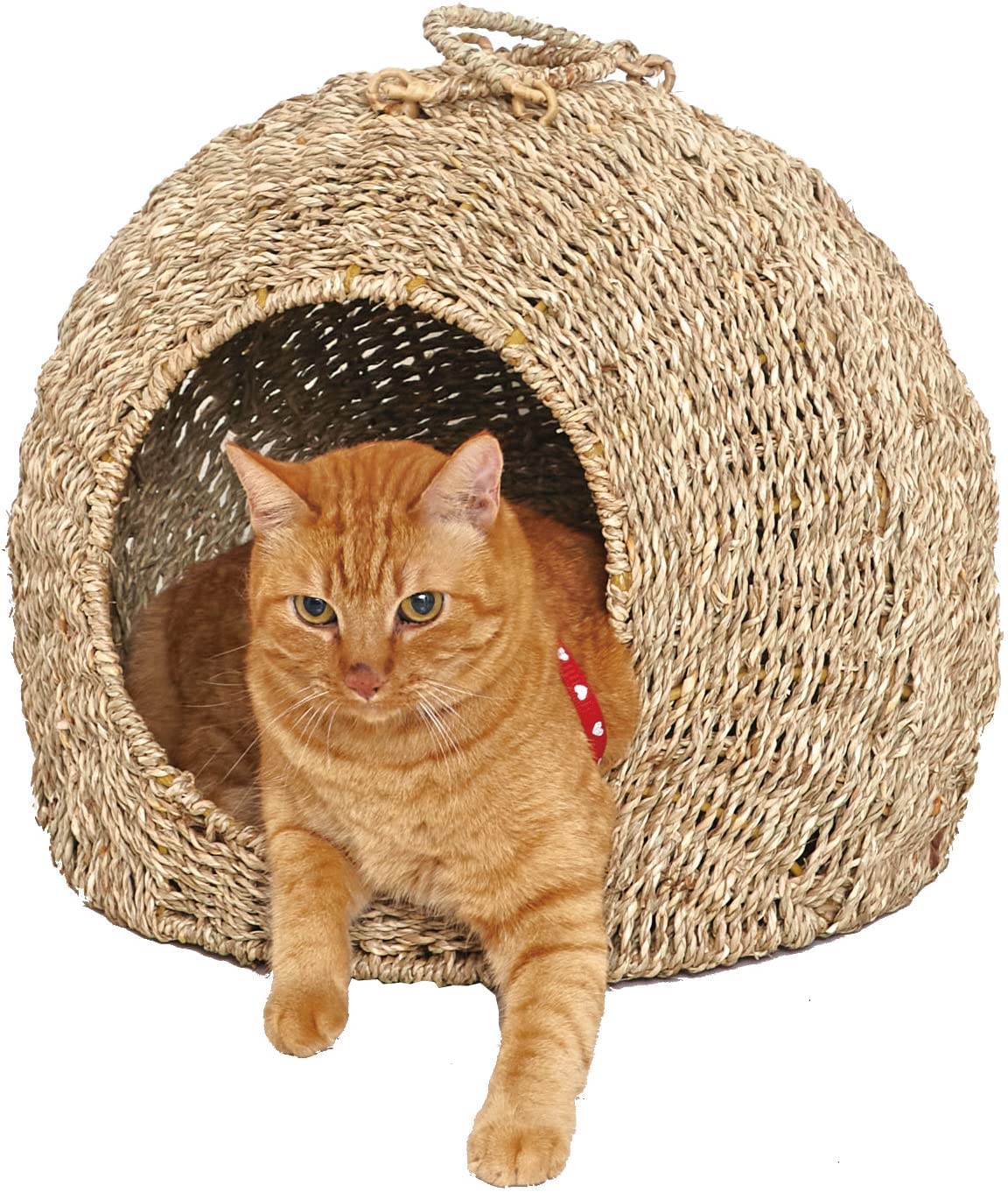 Amazon | ちぐら 猫 稚座 わら キャットハウス 大サイズ 幅45 奥行42