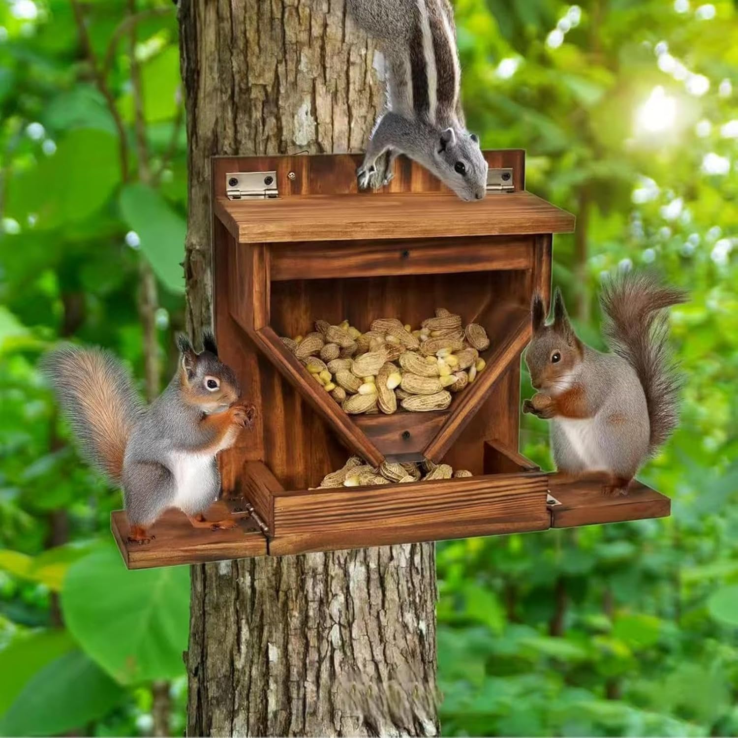 Mangiatoia per scoiattoli, stazione di alimentazione in legno, resistente alle intemperie, design in acrilico per piccoli animali, cibo da giardino all'aperto