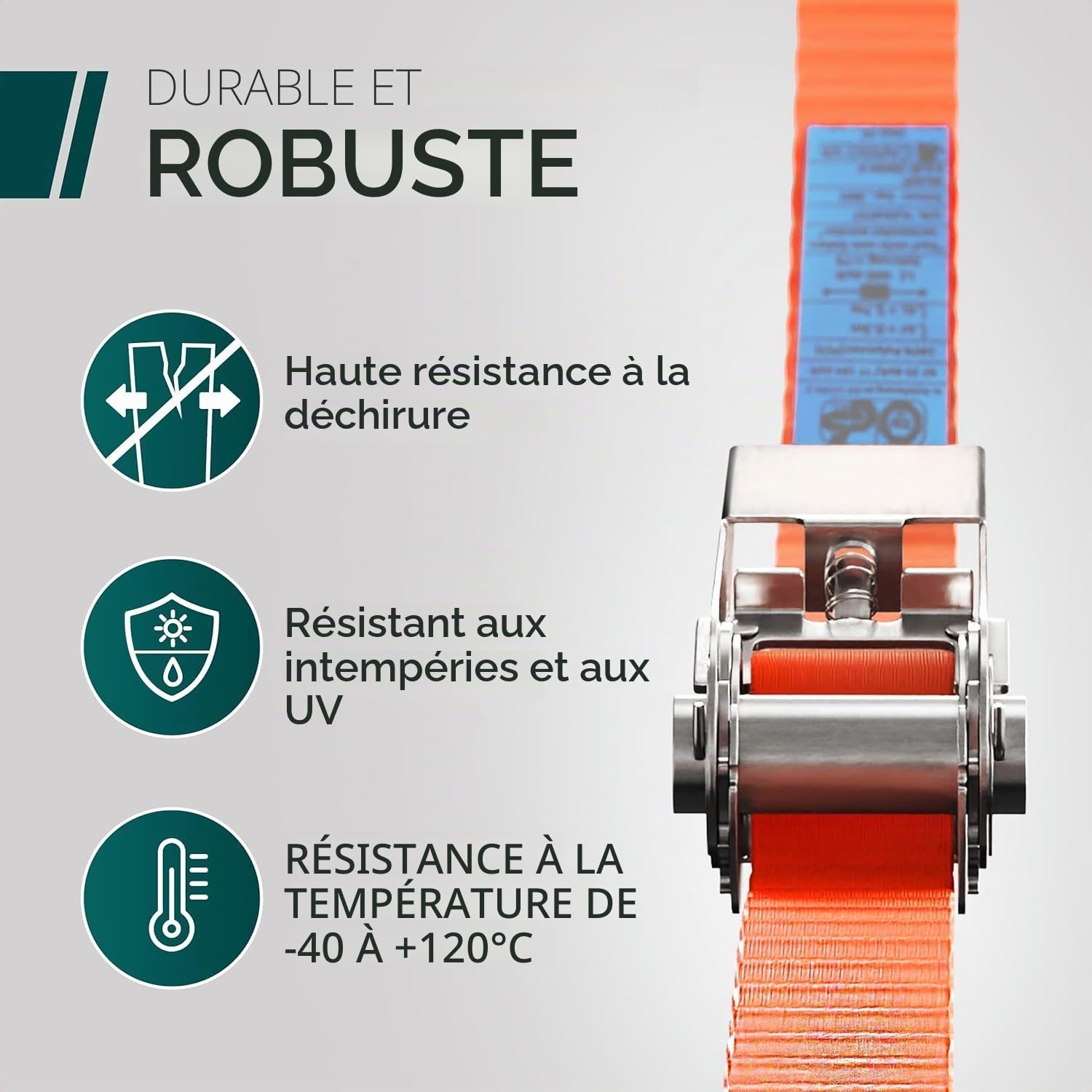 CargoVA - Sangles Robustes 800kg [Lot de 4] - Certifiées TÜV/GS & DIN - Largeur 25mm - Idéales pour Les Applications Professionnelles [10M]