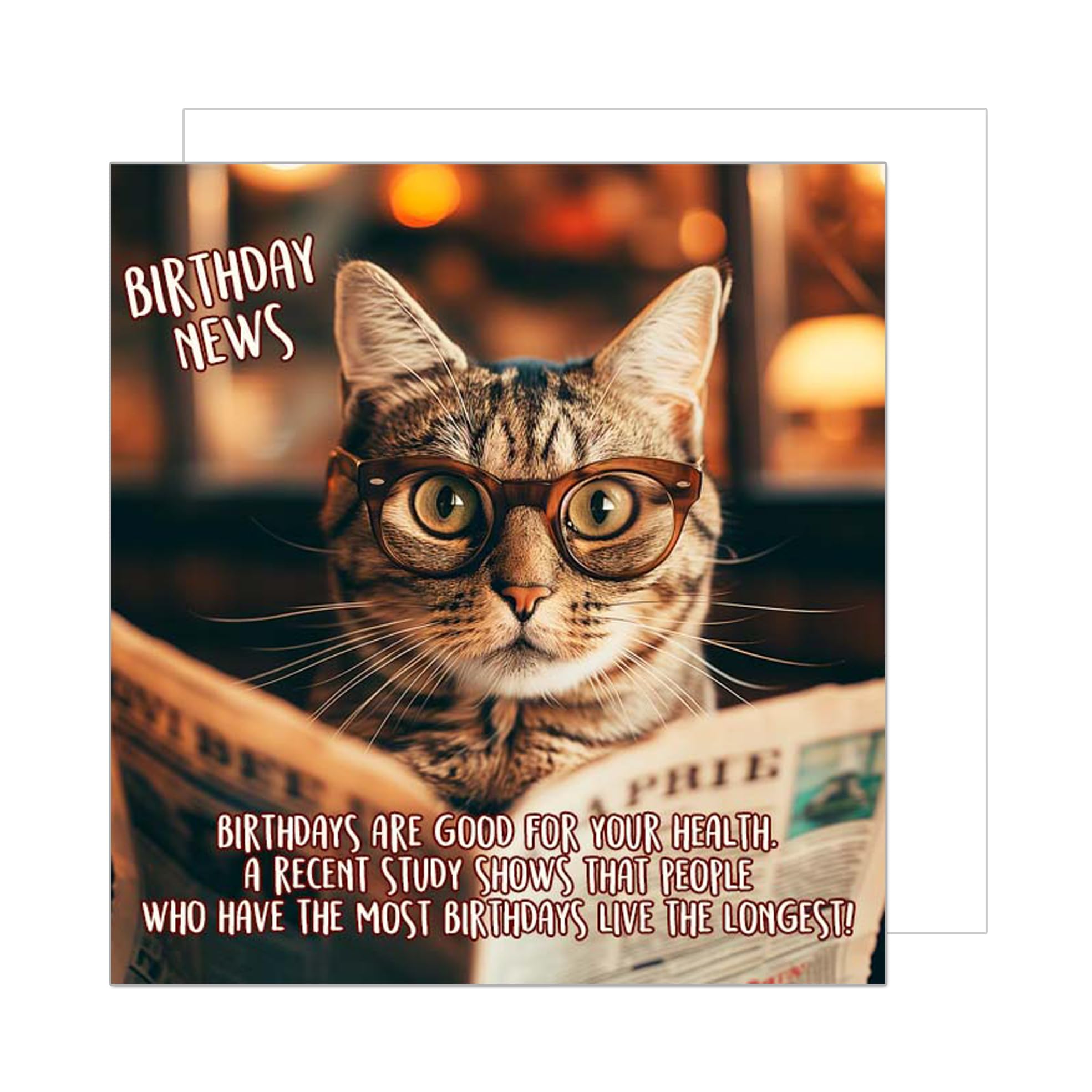 Edition Seidel GQ125 Premium Square Birthday Card With Envelope For Him Or His Friend, Sister, Brother, Colleague, Funny Monkey