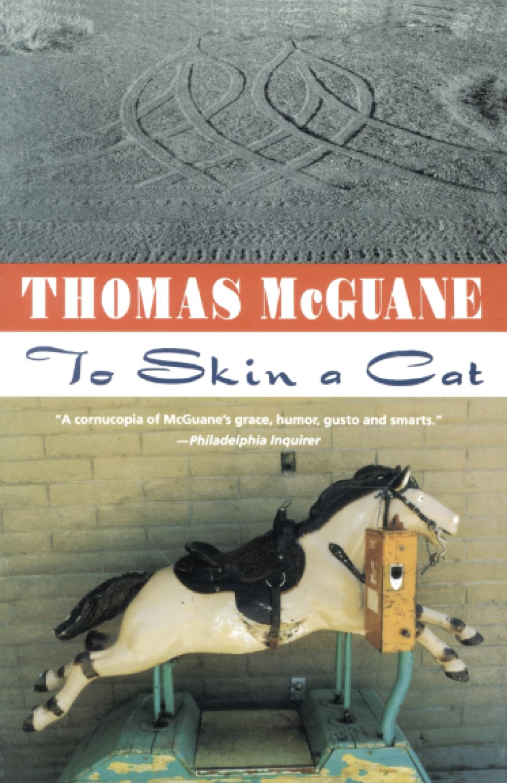 To Skin a Cat: Stories: 0000 (Vintage Contemporaries)