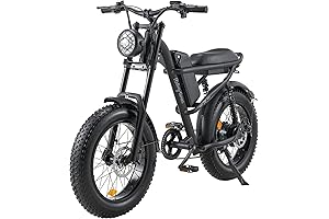 Avantrek Electric Bike: Conquer Rugged Terrain with Power and Agility