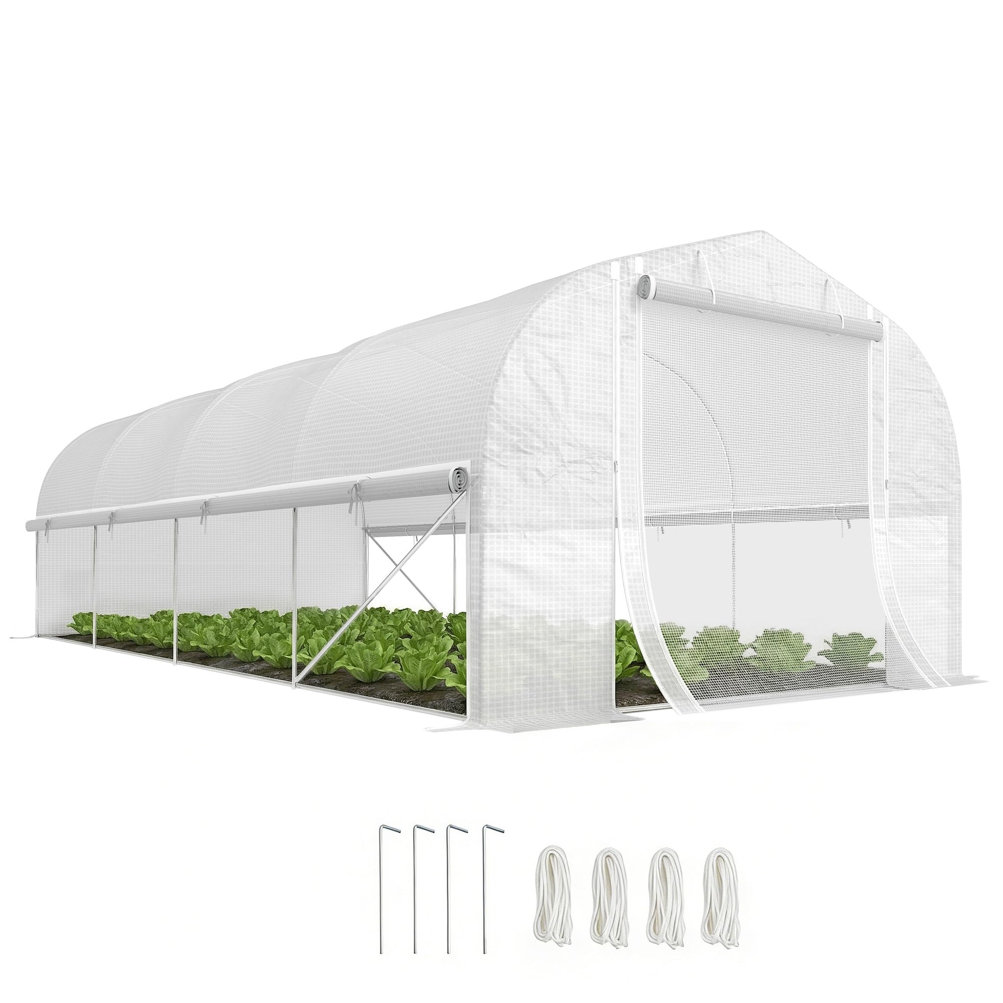 Outsunny 6 x 3 x 2m Walk-in Polytunnel Greenhouse, Zipped Roll Up Sidewalls, Mesh Door, 8 Mesh Windows, Tunnel Warm House Tent with PE Cover, Complimentary Plant Labels and Gloves, White