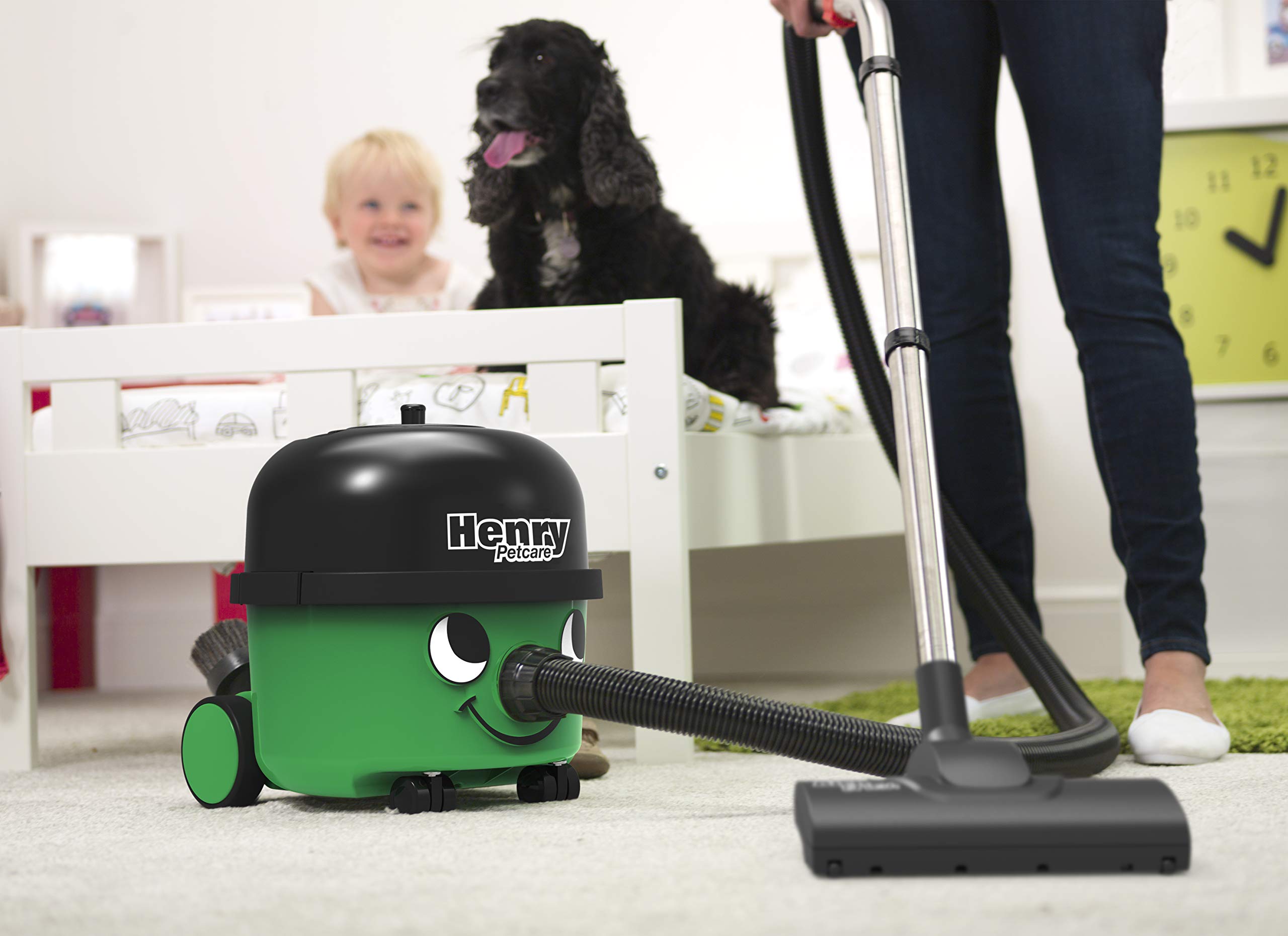 Numatic Henry Petcare HPC160-11 - Aspirapolvere verde, 620 W, 72 decibel