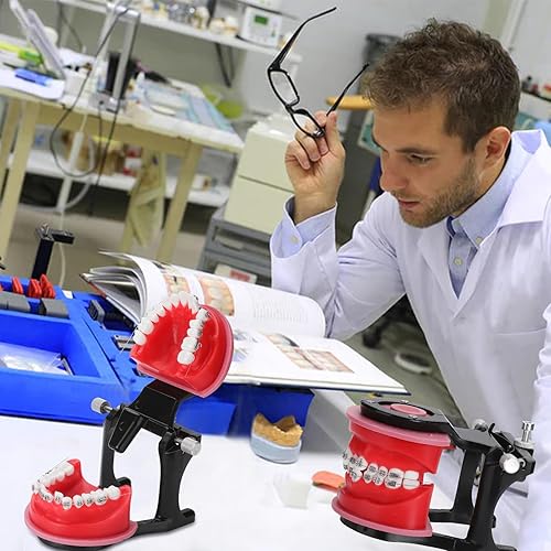 Miniatura 6 de Modelo de Typodonts de ortodoncia - Modelo de práctica de dientes de terraplén de cera de encías, moldes de reposicionamiento de ortodoncia para