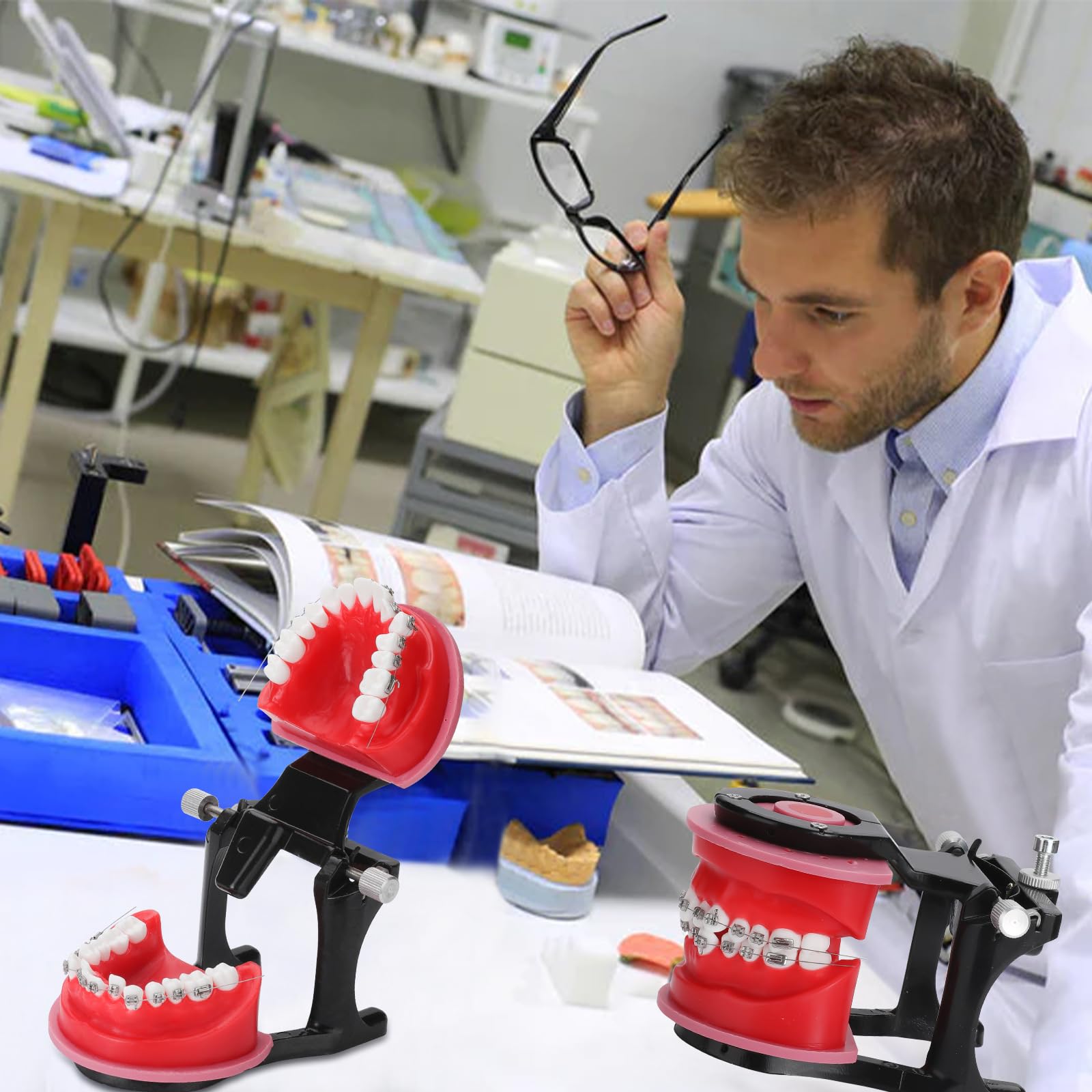 Modello ortodontico Typodonts – Modello di pratica dei denti in cera di gomma, stampi riposizionabili ortodontici per insegnamento e studio