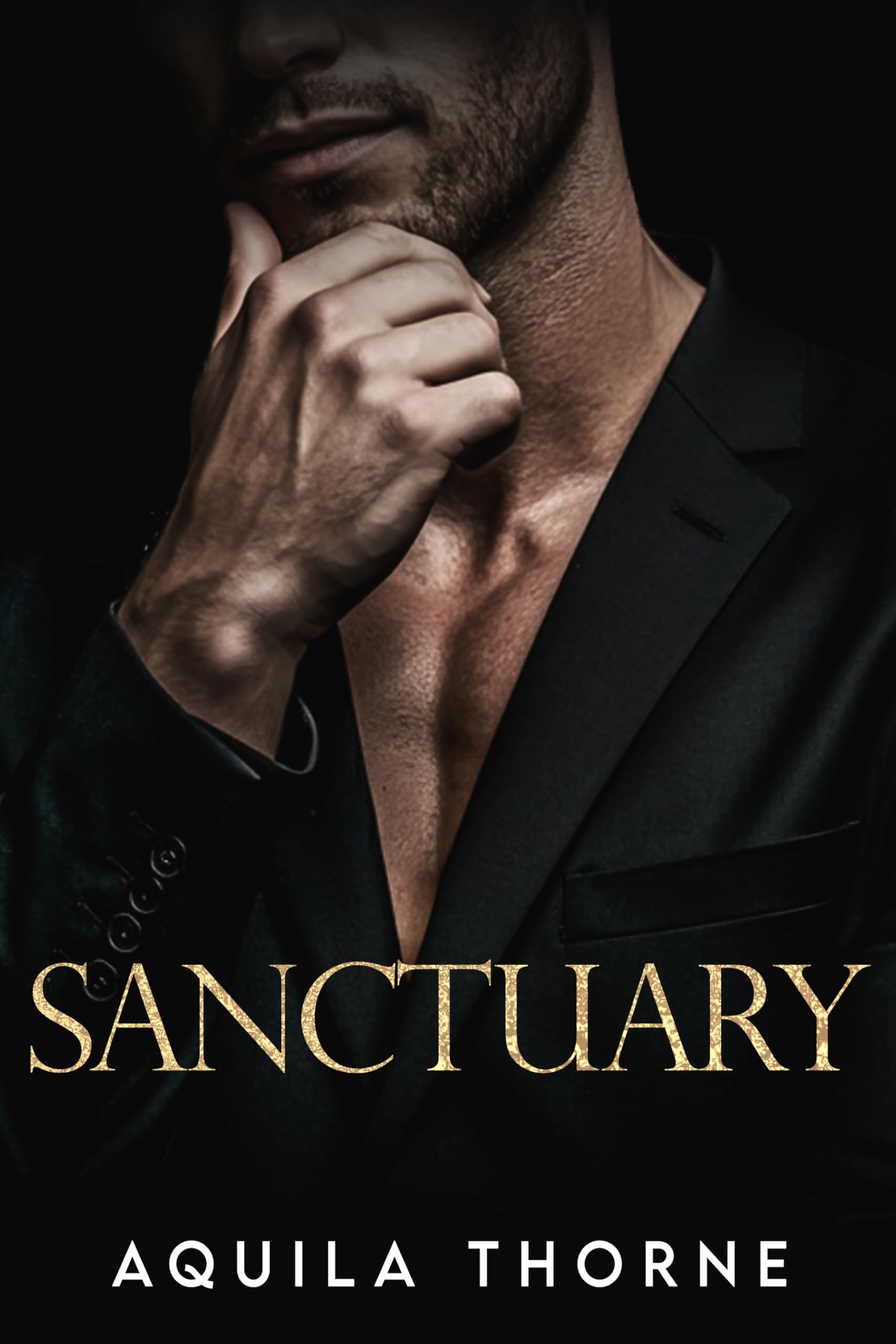 Sanctuary: An Irish mafia, fake marriage romance (CHANGING OF THE GUARDS Book 3)