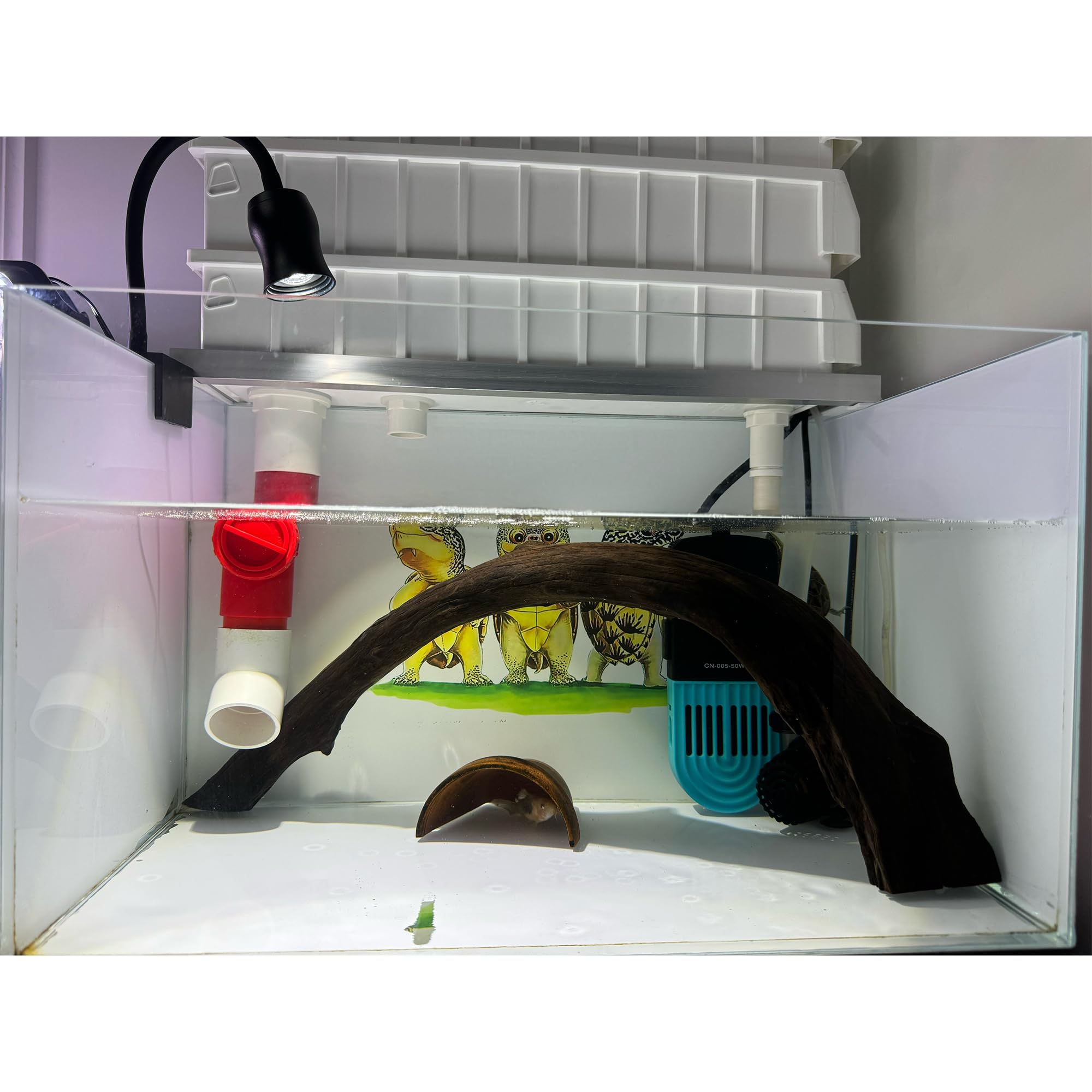 Amazon | 上部フィルター 水槽・カメ水槽用乾湿分離フィルターボックス