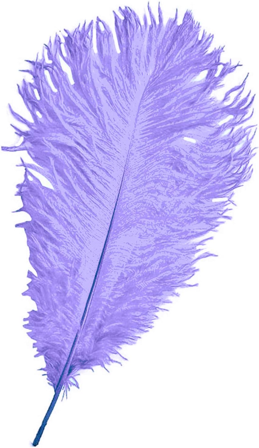 WedDecor 35cm Light Lilac Ostrich Feathers for Wedding Decoration, Real Feather Supplies for Crafts DIY Headdresses - Image 5