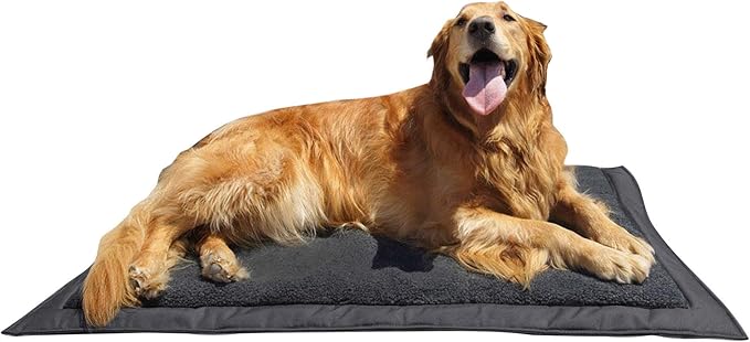 Dog Proof Air Mattress (Air Mattresses That Are Dog Friendly) Lightspeed Outdoor Self Inflating Travel Dog Bed