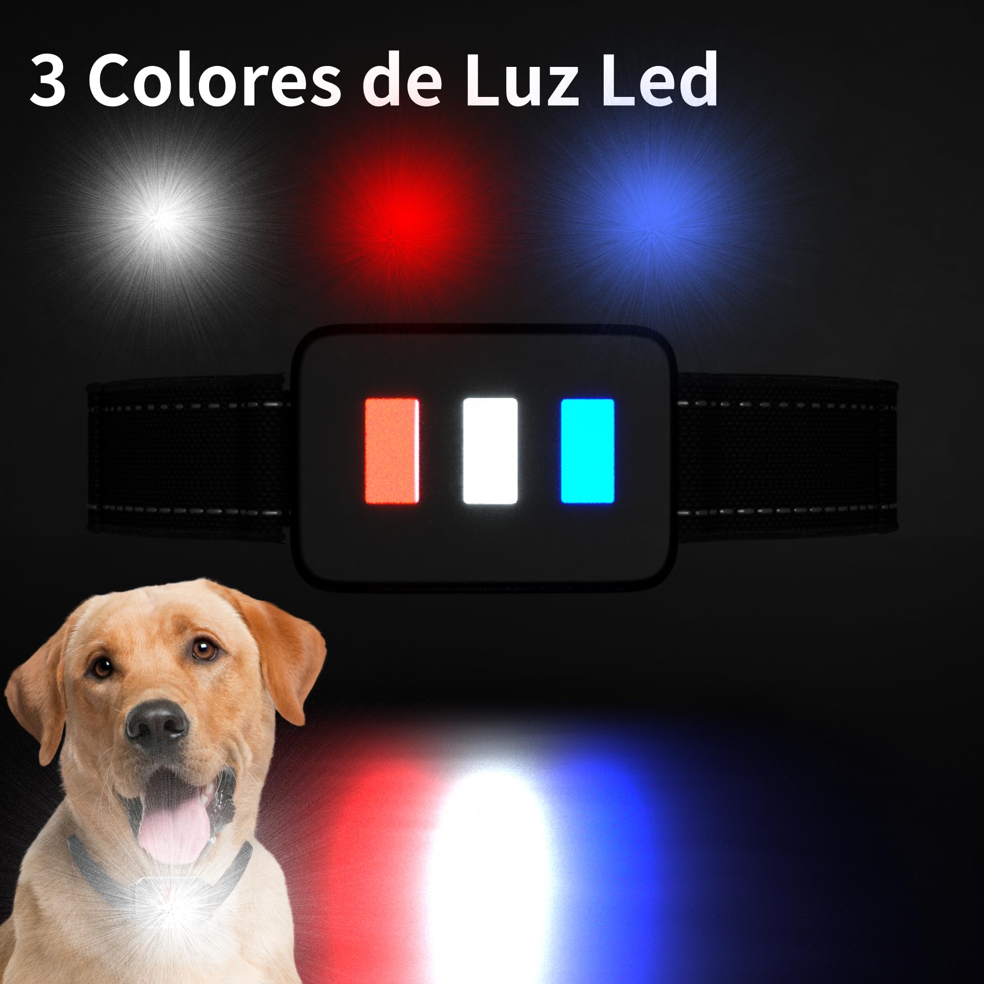 Meloive Collar para Perro,Collar Nylon Reflectante Impermeable,Duradero y Cómodo para Perros Grandes,Medianos y Pequeños,1 Collar