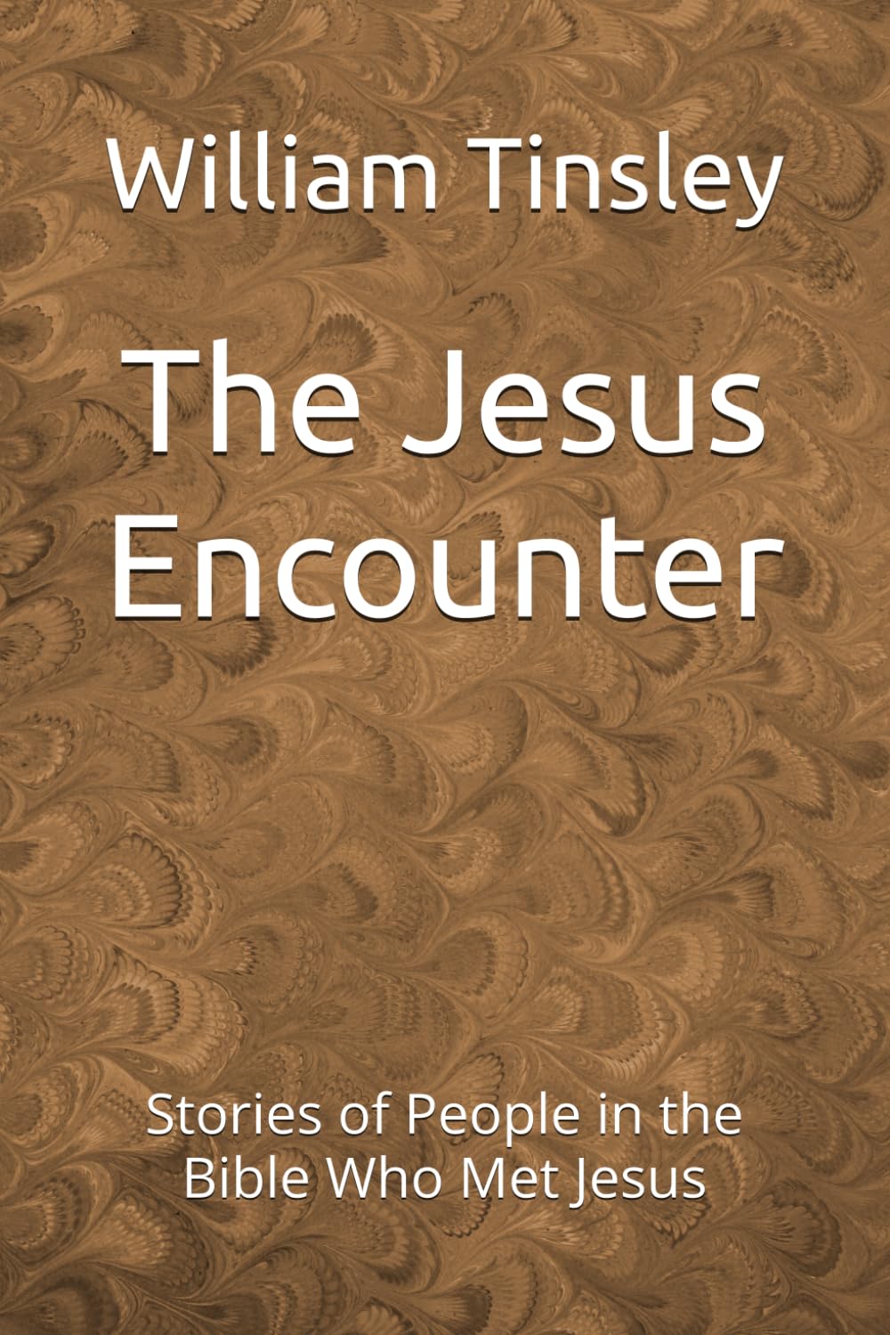 The Jesus Encounter: Stories of People in the Bible Who Met Jesus