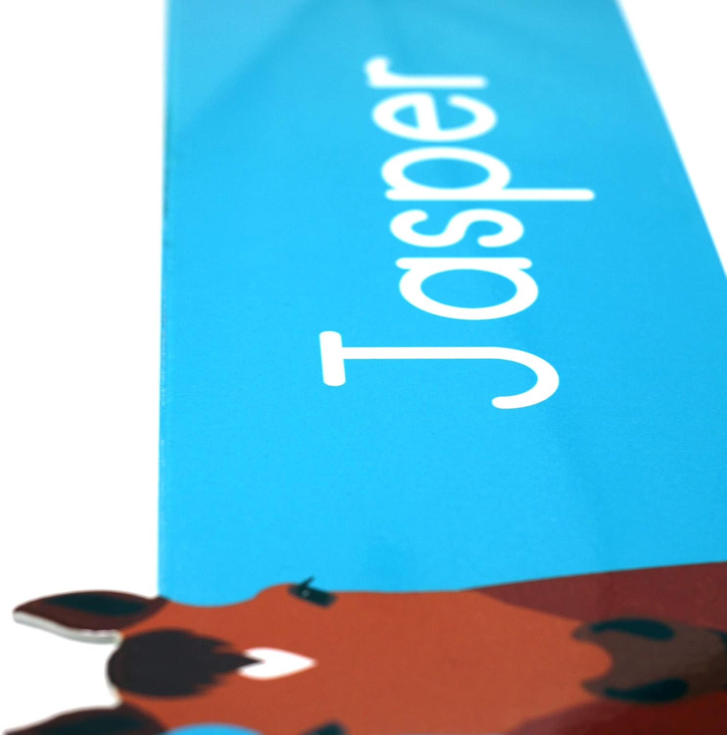 Personalized Steel Horse Stall Stable Barn Name Plate in Color : Pet Supplies