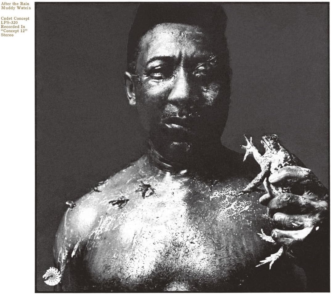 MUDDY WATERS - After The Rain - Disque CD