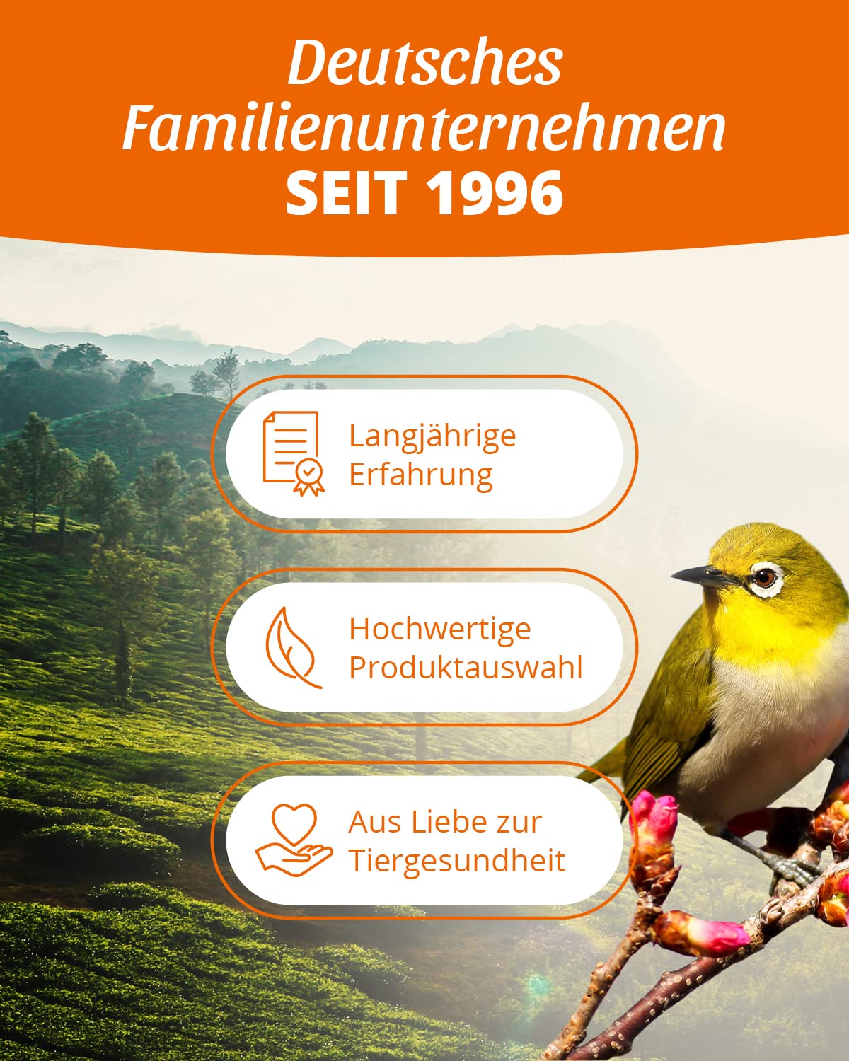 petifool petifool Mehlwürmer getrocknet 5kg – Insektensnack für Vögel, Nager, Fische, Schildkröten und Reptilien – hochwertiges Naturprodukt – proteinreicher Snack für Wildvögel