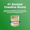 Creatina Optimum Nutrition, polvo de monohidrato de creatina micronizada, apoya fuerza y recuperación, probado sin sustancias prohibidas, sin sabor, 5 g por porción, 120 porciones | 5g de polvo de monohidrato de creatina micronizada por porción, apoya la fuerza y potencia muscular, fácil de mezclar, probado sin sustancias prohibidas Polvo 120 porciones (Paquete de 1) 7