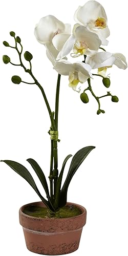 Miniatura 5 de Nearly Natural Orquídea Phalaenopsis con jarrón de arcilla (juego de 4)
