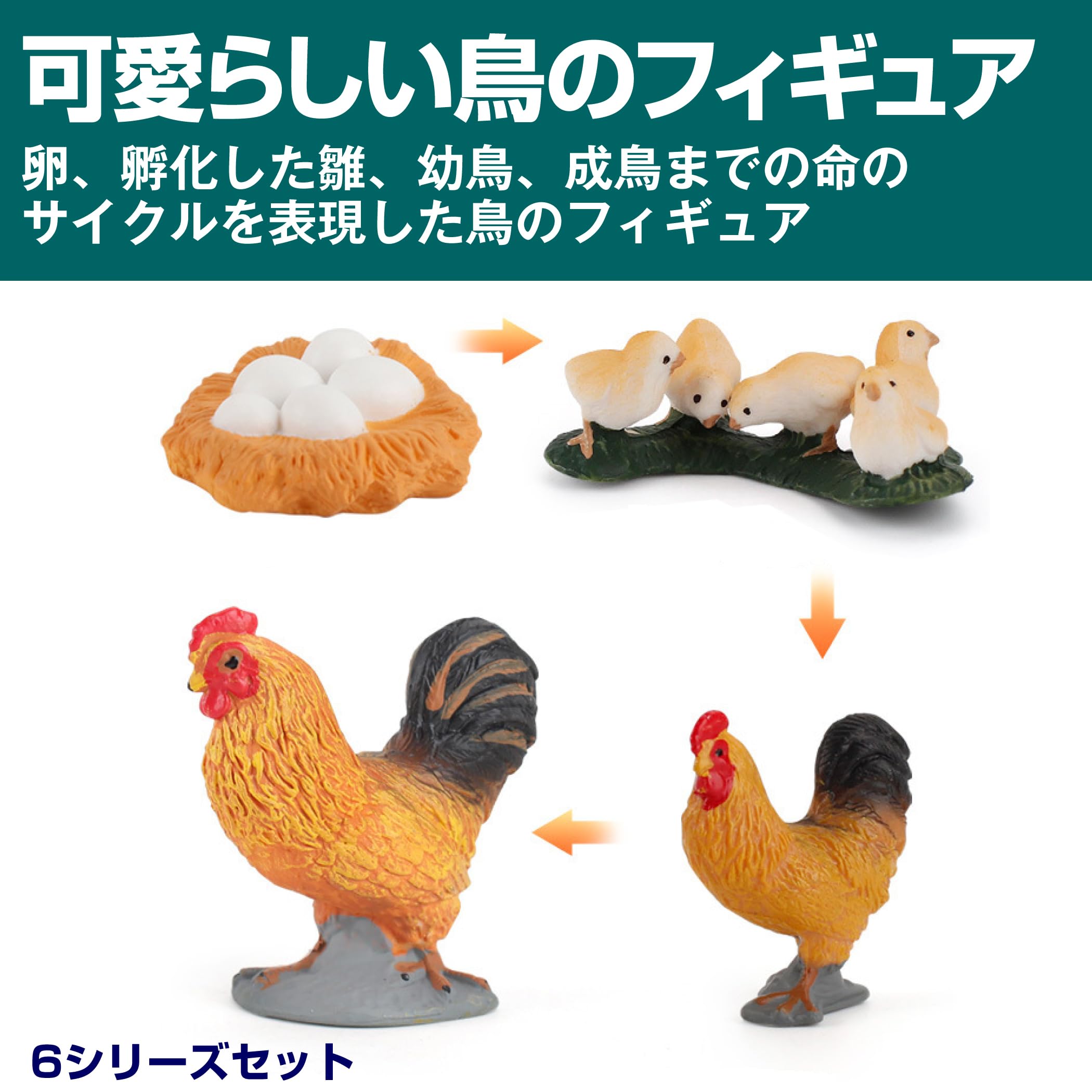 Amazon | Felimoa フィギュア 命のサイクル 鳥 卵 ヒヨコ 動物模型 6