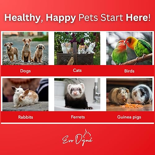 Vista 4 de Polvo Styptic para perros, gatos y pájaros (2 onzas) por Evo Dyne Detención de sangre de acción rápida para mascotas Polvo de parada rápida