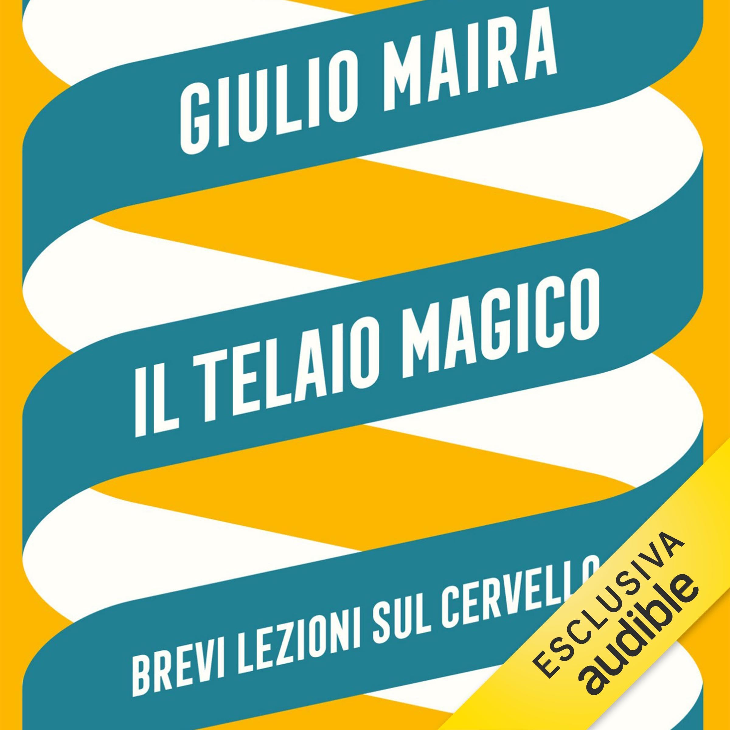 Il telaio magico: Brevi lezioni sul cervello