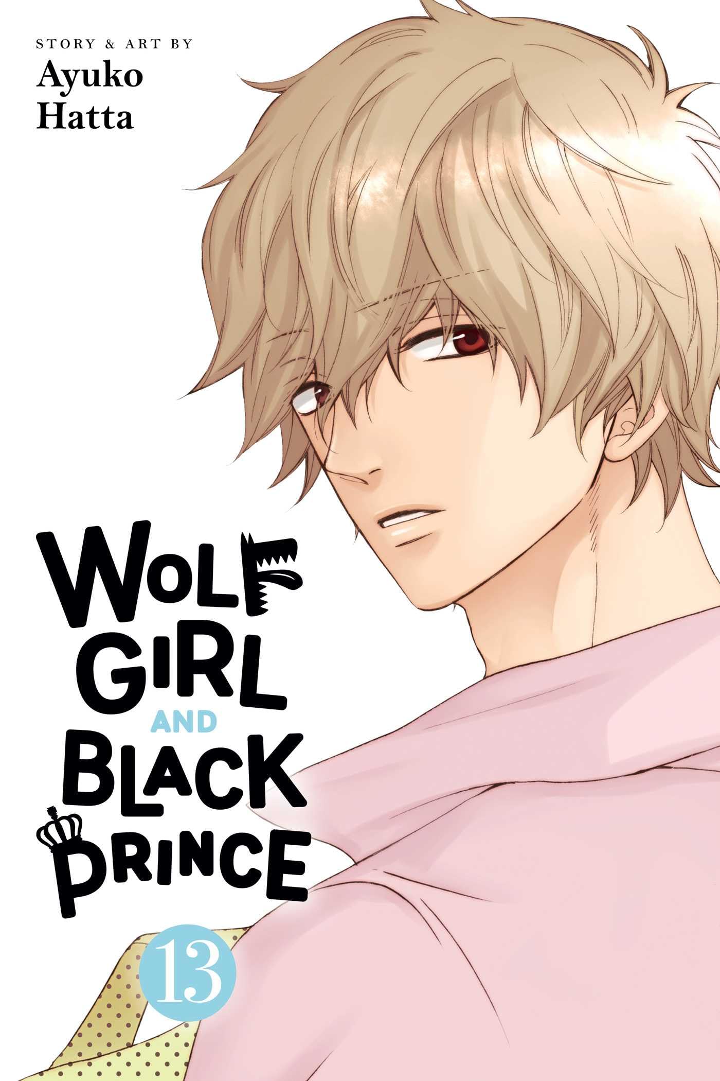 Wolf Girl and Black Prince, Vol. 13: Volume 13