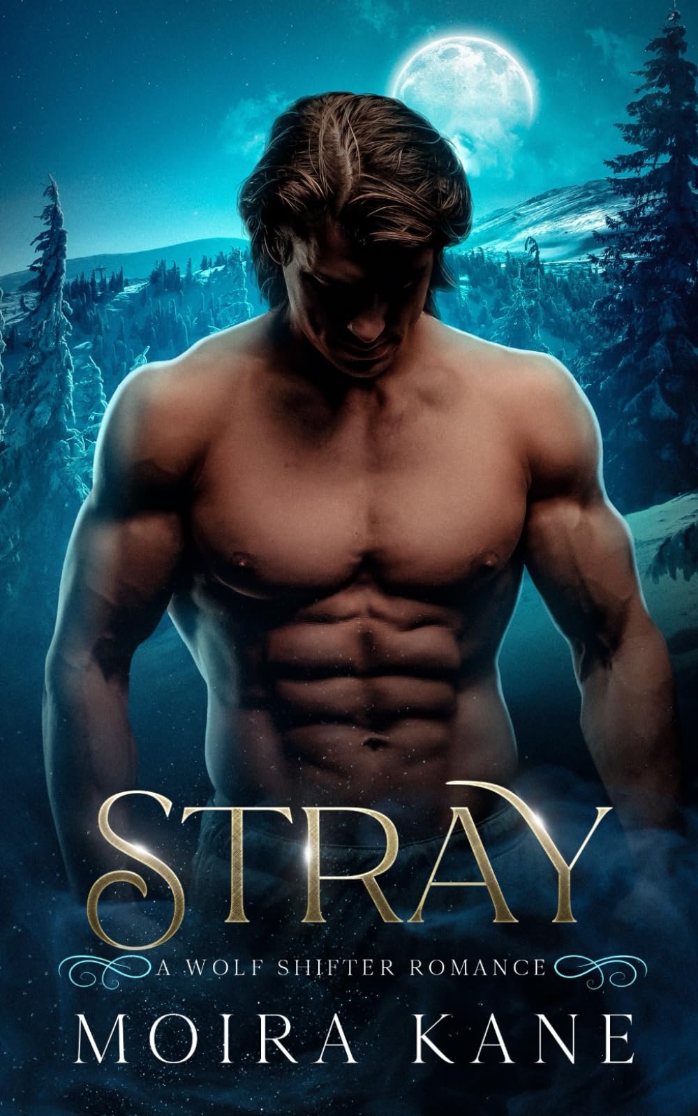 Stray: A Wolf Shifter Romance (Silver Bullet Security)