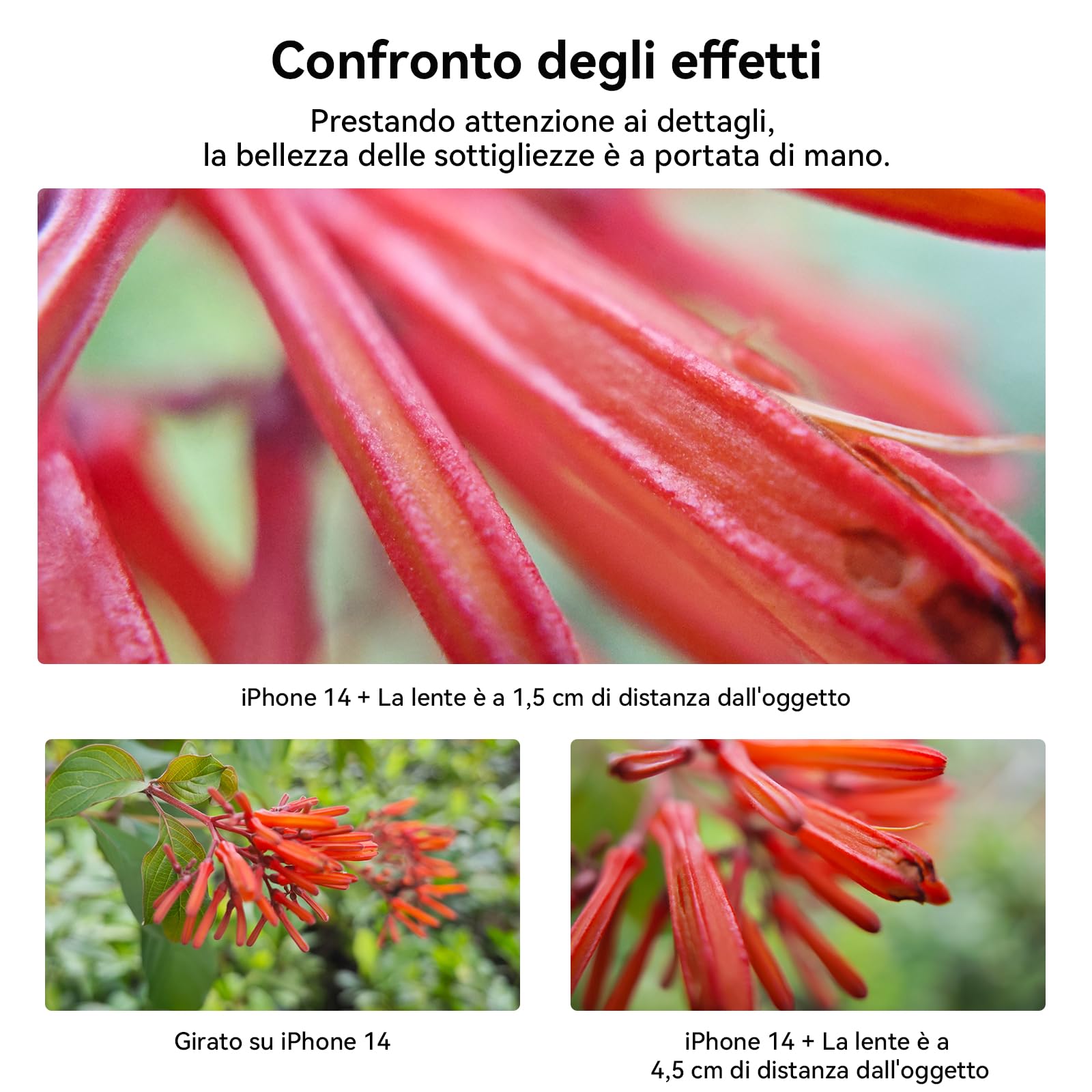 APEXEL Obiettivo Macro per Cellulari ZM100 Ultra Nitido e Migliorato, Apertura F1.05, Ingrandimento Massimo 20X, Lente Macro per Smartphone Adatto Alla Maggior Parte dei Telefoni Cellulari