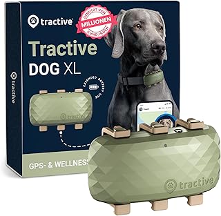 Tractive XL GPS Tracker für Hunde | Empfohlen von Martin Rütter | Bis zu 1 Monat Akku | Weltweite Live-Ortung | Weglaufala...