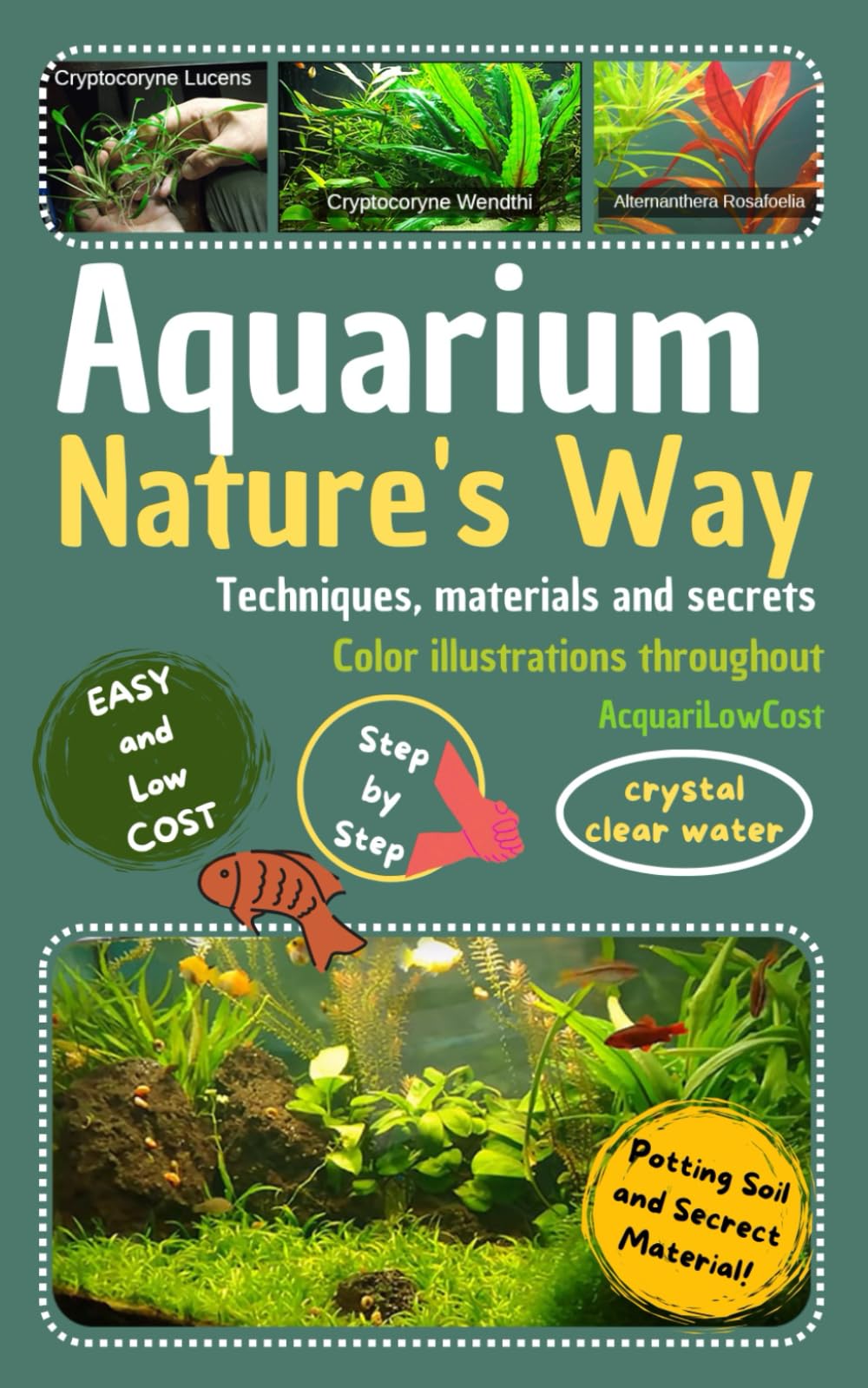 Aquarium, Nature's Way: The Natural Aquarium Plants Handbook For Beginners, Guide To Setting Up and Growing Aquatic Plants, Tricks and Secrets, Freshwater tank filtration plant live