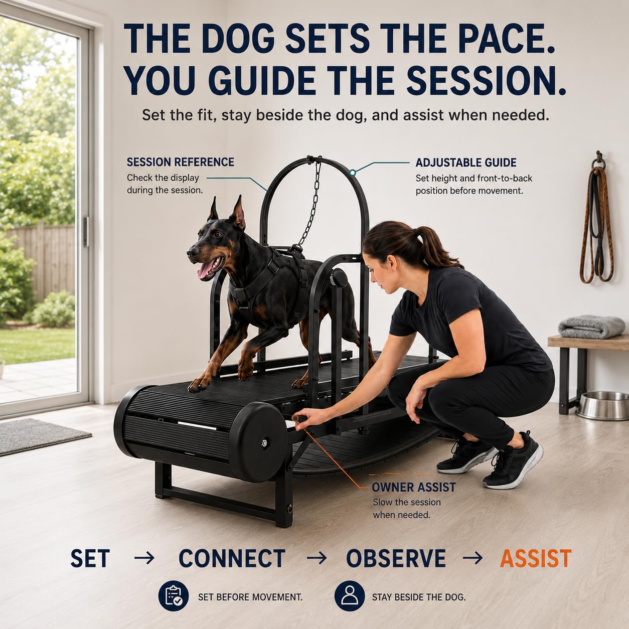 Laufband für große Hunde, mittelgroße Hunde, verstellbare Rampe, Laufband für Hunde, mit Schrittzähler für Bewegung, gesund und fit
