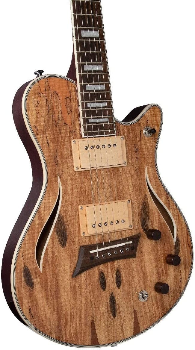 Michael Kelly Electric Acoustic All-in-One Hybrid 55 Guitar (MKHSSSPPYZ)