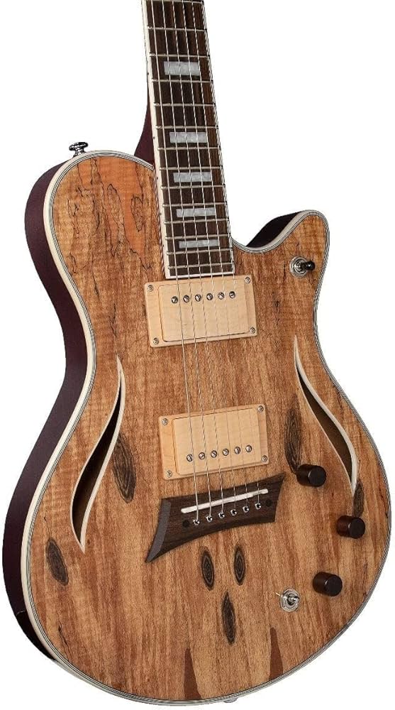 Michael Kelly セミアコギター スペシャル ギグバッグ ストラップ付