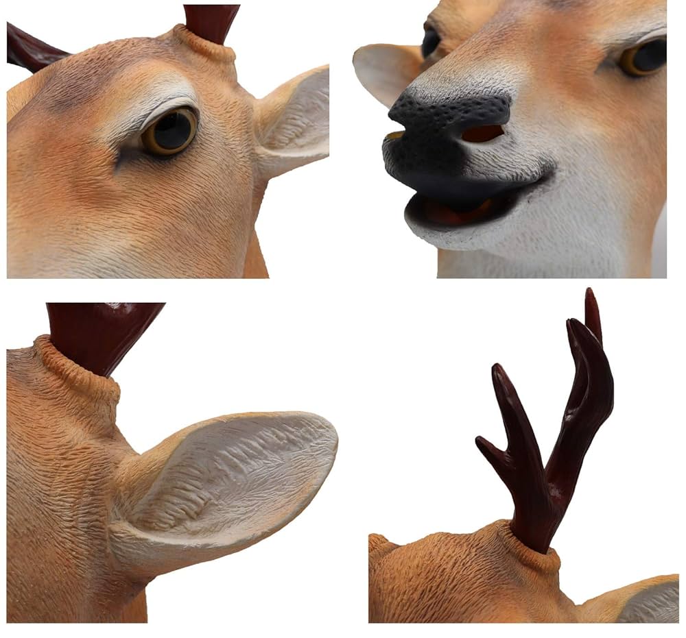 A deer / 鹿 hq720.jpg?sqp=-