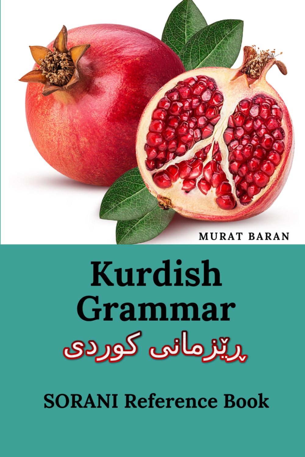 Independently published Kurdish Grammar ڕێزمانی کورد: SORANI Reference Book Paperback – 12 August 2021