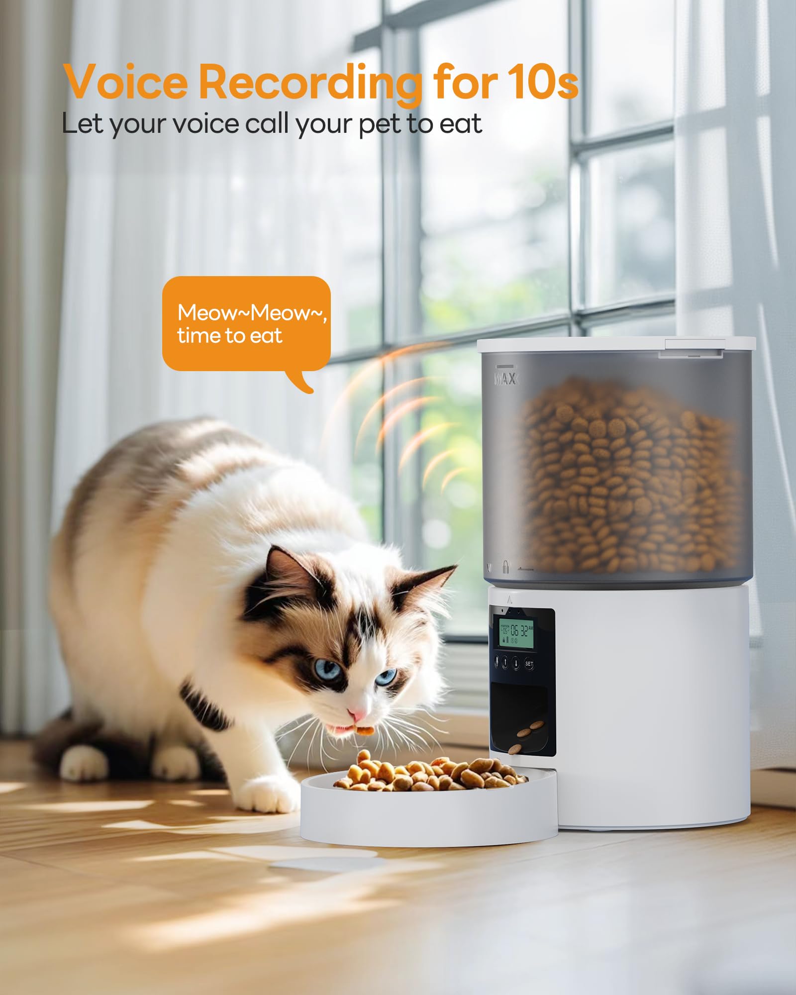 Distributore Automatico Cibo Gatti: Dispenser Crocchette Gatto con 10S Registrazione - Dosatore Crocchette per Cani con Orari di Mangiatoia Personalizzati 1-6 Pasti al Giorno Timer Bianco