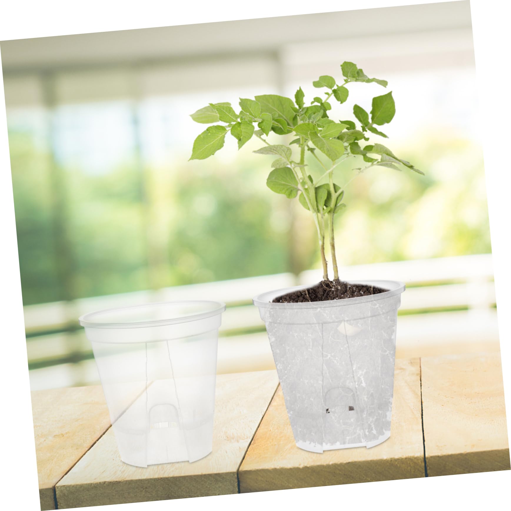 BESPORTBLE 6pièces Lot de Pots à Orchidées Transparents avec Drainage Automatique pour Plantes Intérieur Et Pépinière