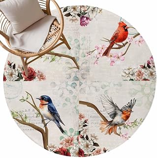 Vintage Birds Fluffy Area Rug with Non-Slip Backing, Retro Floral Flower Branch Rustic Farmhouse Ultra Soft Shaggy Carpet for Living Room and Bedroom, Machine Washable Fuzzy Rug, 5ft,Round