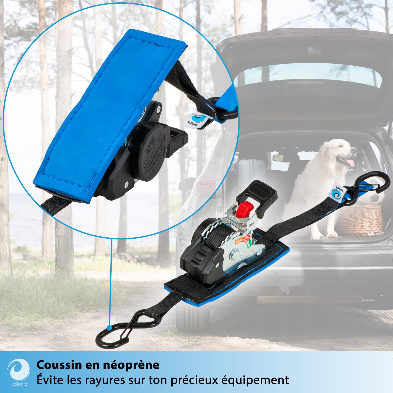valonic Fox 2 m, Mini Sangle a cliquet, pour arrimer en remorque, Lot de 2, 150 kg Force d’arrimage, 19 mm, cliquet caoutchouté