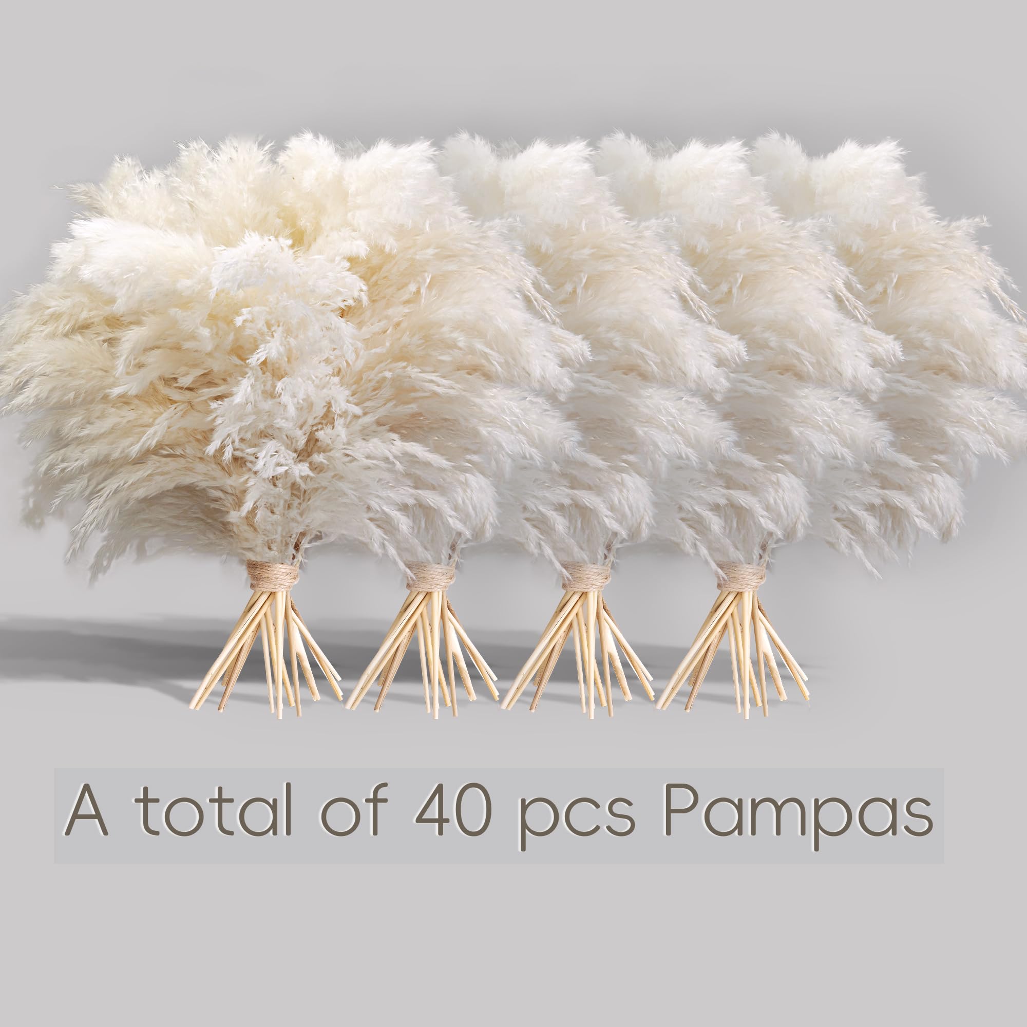Kocat, 40 pezzi di erba della pampa bianca, decorazione per la casa, elegante decorazione bohémien, aste per pampa di alta qualità, perfette per casa, asilo nido, matrimoni, tavoli e decorazioni