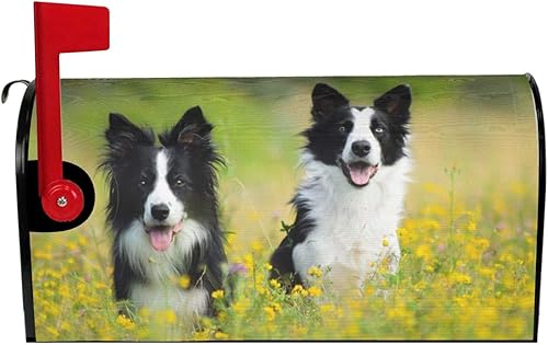 Dujiea Border Collie - Cubierta magnética para buzón de correo, cubierta magnética para buzón de correo, tamaño grande, 25.5 pulgadas de largo x 21
