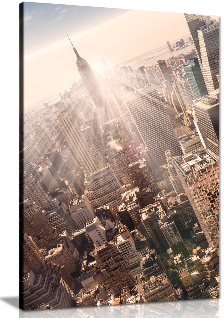 Panther Print Brown New York City Manhattan Skyline Empire State Building & Skyscrapers Office Canvas Wall Art Picture Print (24X16)