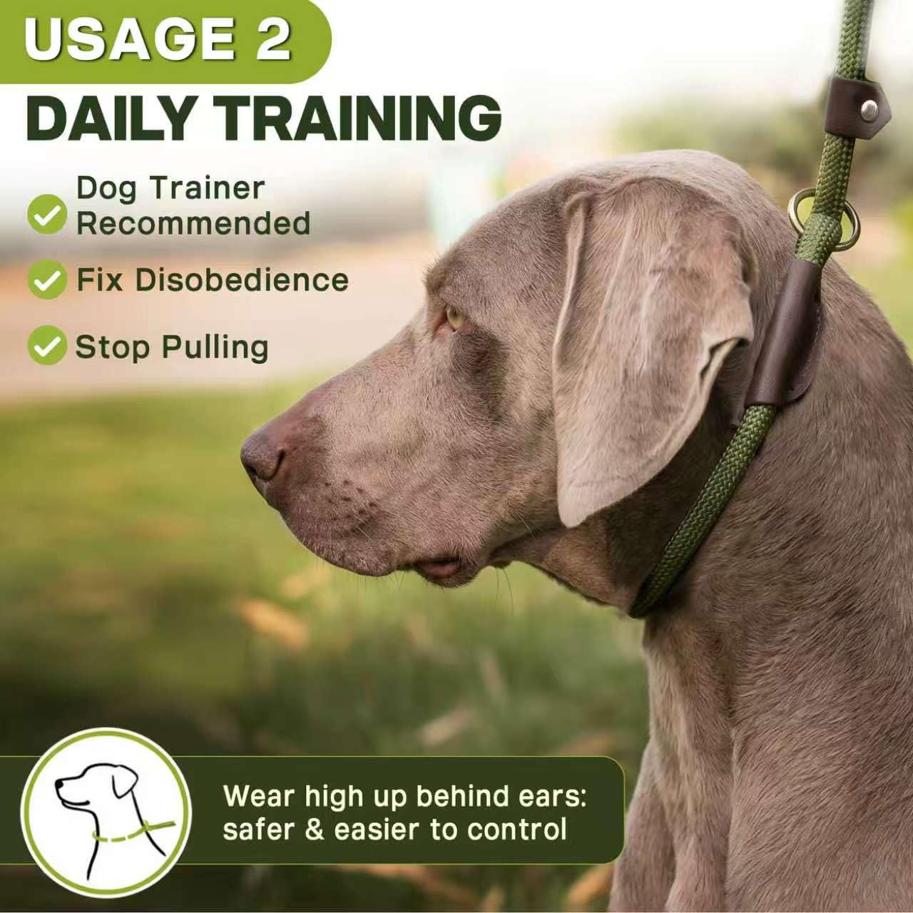 Fida Correa Antideslizante Duradera para Perro, Paquete de 5, Resistente de 1/2 Pulgada x 6 pies, cómoda y Fuerte, Correa de Entrenamiento para Mascotas sin tirones con Altamente Reflectante