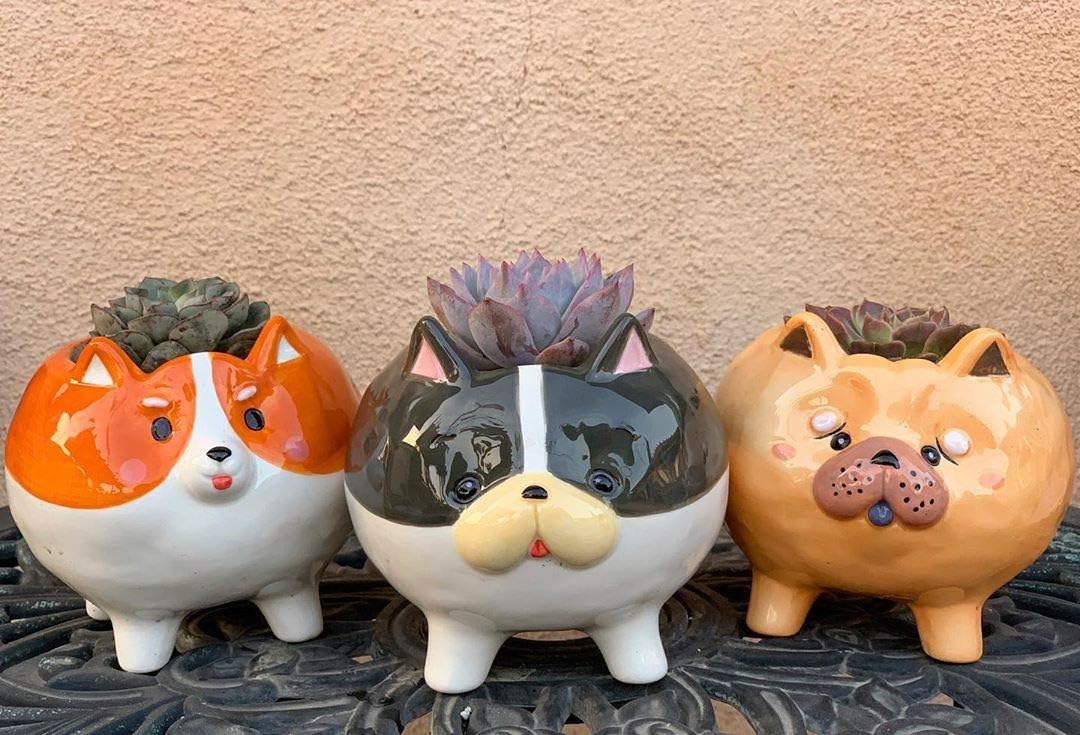 Succulent Pots with Drainage - Small Succulent Planter Handmade Original Ceramic Plant Pot Indoor - Mini Pots for Plants Flower Cactus - Home Kitchen Desk Garden Decor (Puppy Single F (Chow Chow))