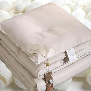 Mulberry Silk Quilt Silk Double-Sided Machine Washable Ice Silk Simple Air Conditioning Comfoter QuiltA,150 * 200cm/2.0kg