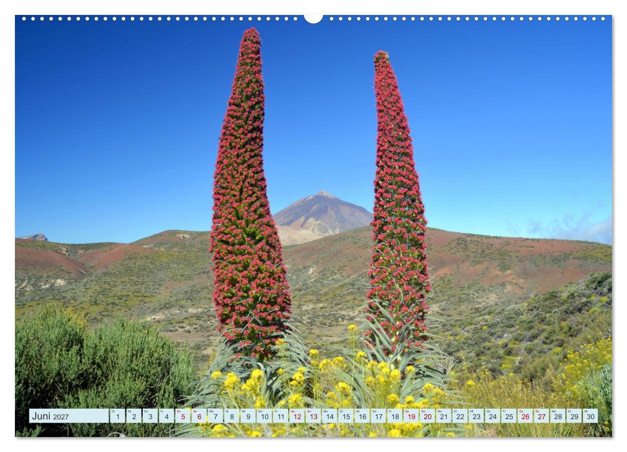 CALVENDO - Teneriffa - Insel der Glückseligen (Wandkalender 2027 DIN A2 quer), Monatskalender: Traumhafte Bilder einer faszinierenden Insel