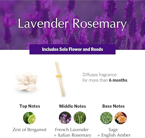Miniatura 3 de AGRARIA Difusor de lavanda y romero perfumado PetiteEssence 17 onzas con cañas y una flor