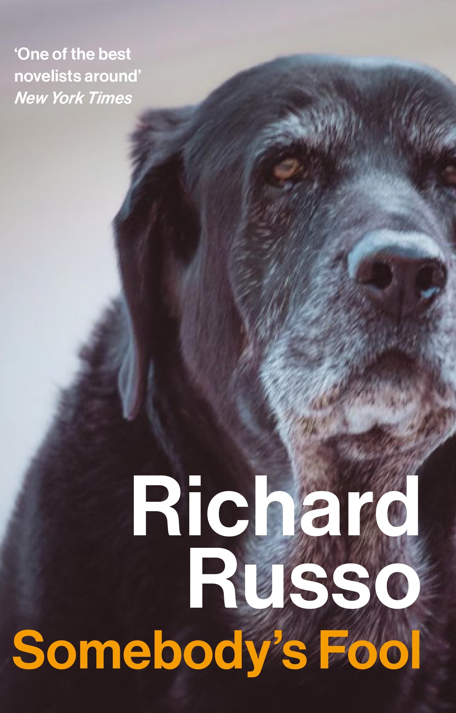 Somebody's Fool: Richard Russo